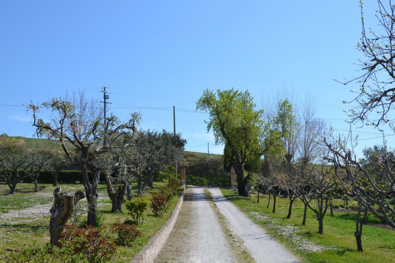 Agriturismo Villa Rosetta 新塞韦里诺马尔凯 外观 照片