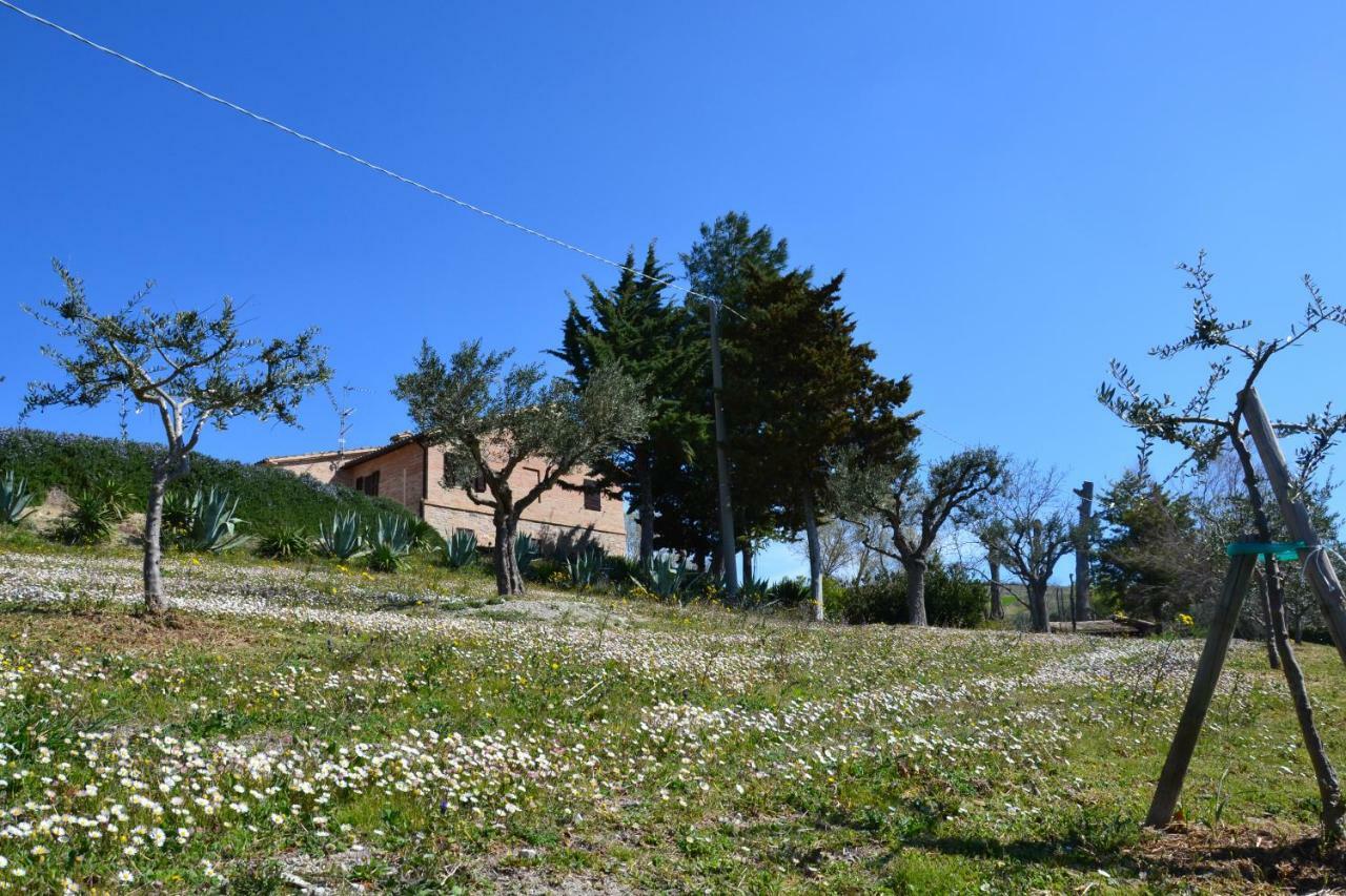 Agriturismo Villa Rosetta 新塞韦里诺马尔凯 外观 照片