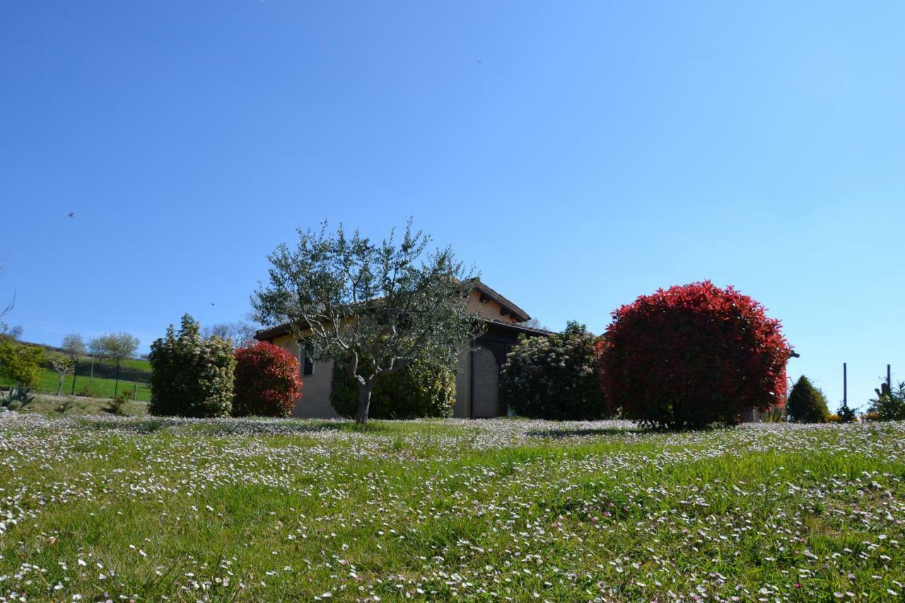 Agriturismo Villa Rosetta 新塞韦里诺马尔凯 外观 照片