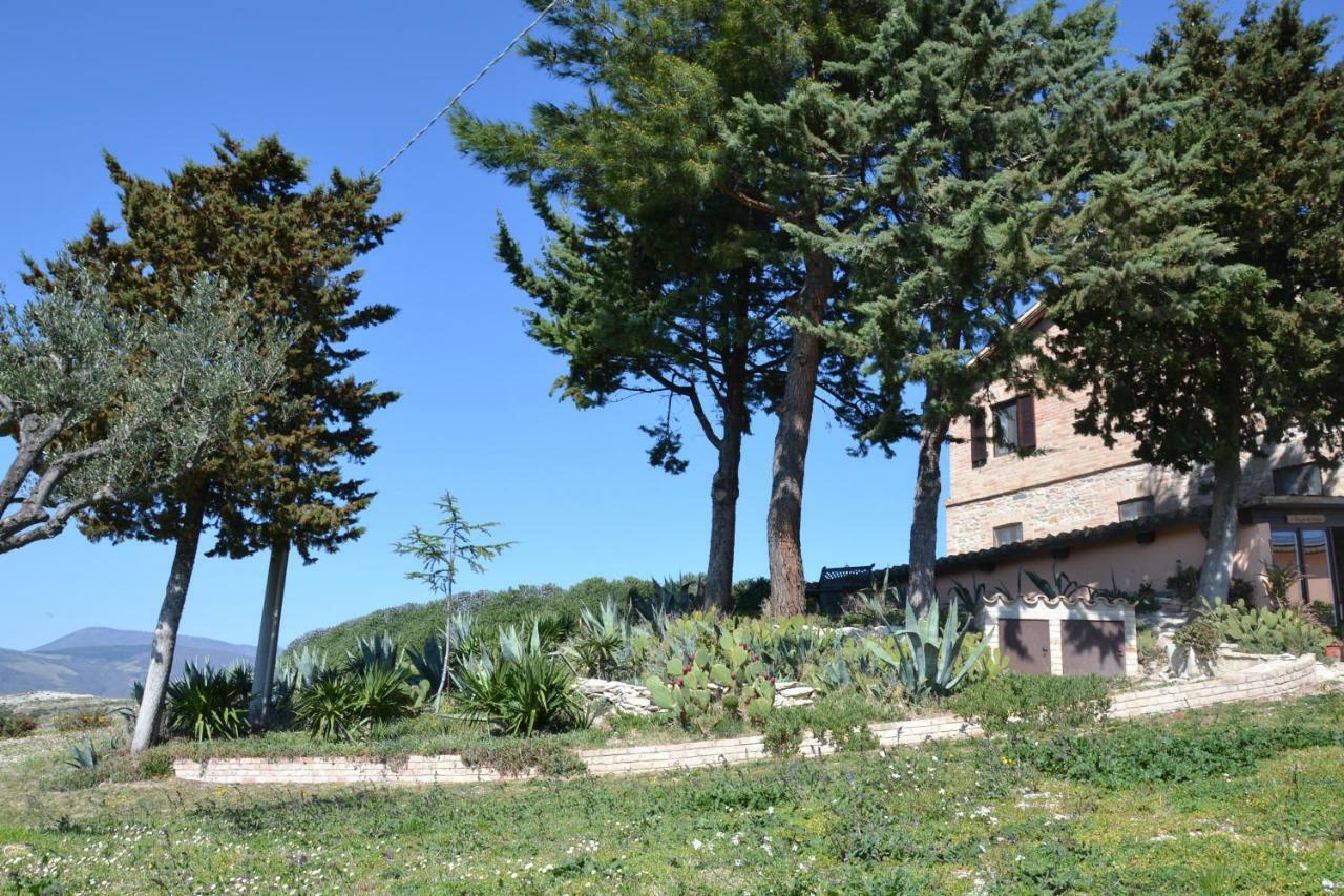 Agriturismo Villa Rosetta 新塞韦里诺马尔凯 外观 照片